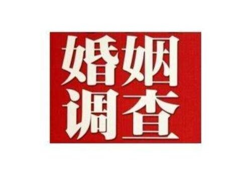 民事诉讼中质证是当庭质证吗